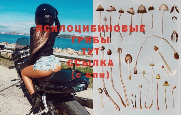 МДМА Абаза