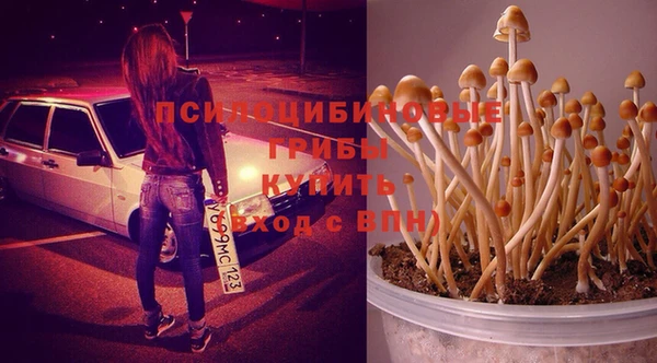 твердый Абдулино